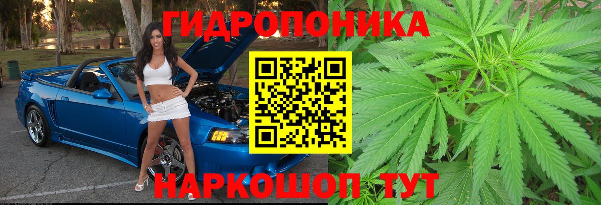 Бошки Шишки MAZAR  Конопля OG Kush  Выборг  МАРИХУАНА конопля  Канабис гибрид  Вход с VPN 